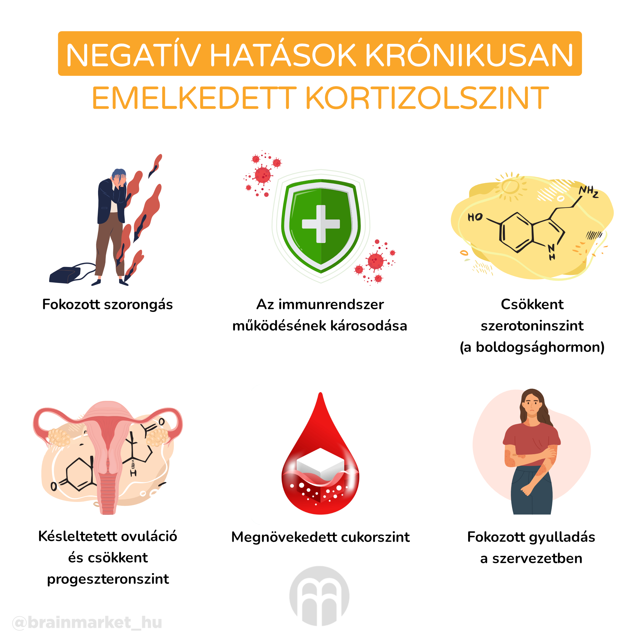 negativní efekty cgronicky zvyseneho kortizolu_infografika_hu